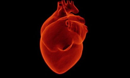Otkrivena epigenetska osnova hipertrofije srca