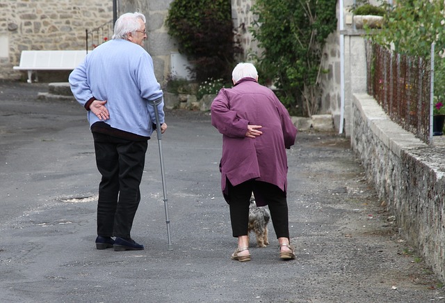 Povezanost između neuromuskularnih oštećenja, hroničnog bola u leđima i mobilnost kod starijih osoba