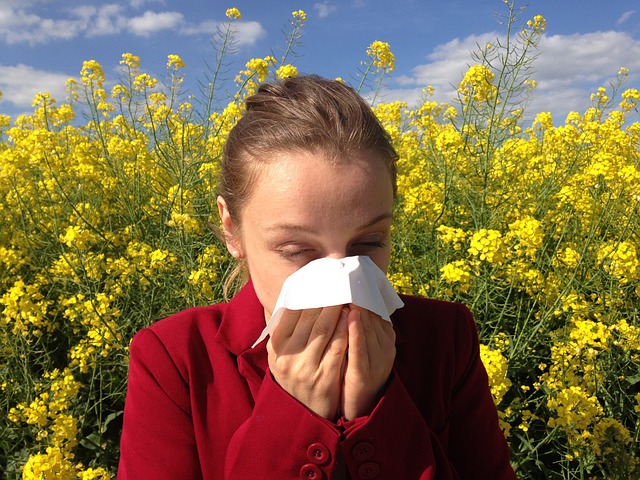 Efekat perzistentnog alergijskog rinitisa na spirometrijske parametre