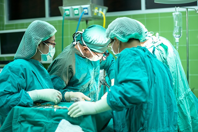 Konstruisana koštana srž mogla bi transplantacije učiniti sigurnijim