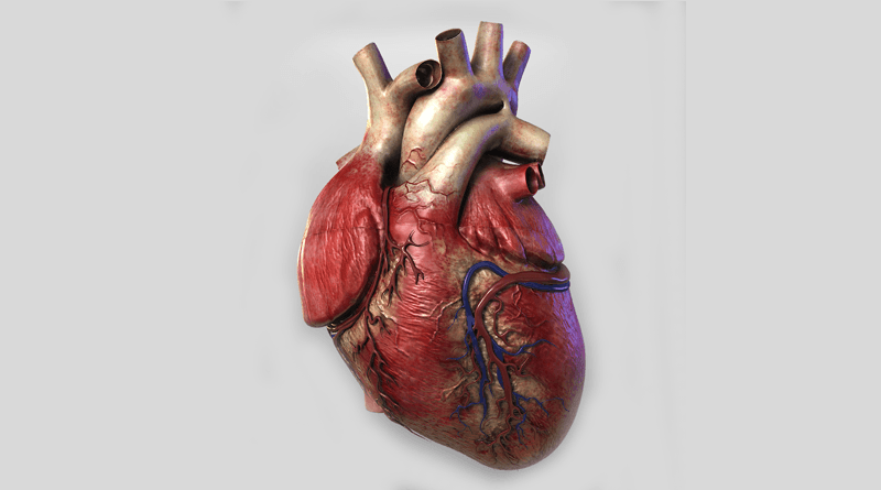 Novine u modernim kliničkim istraživanjima srčane insuficijencije