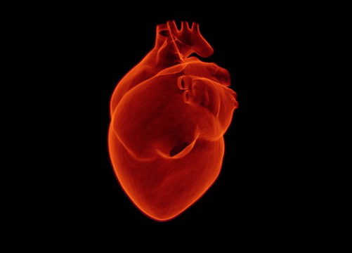 Otkrivena epigenetska osnova hipertrofije srca
