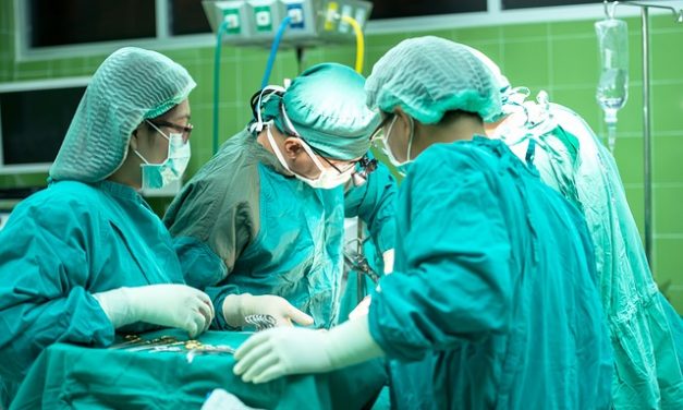 Konstruisana koštana srž mogla bi transplantacije učiniti sigurnijim